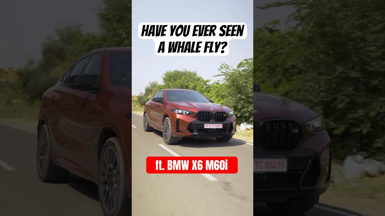 Have you ever seen a whale fly?🐋🪽 | ft. BMW X6 M60i | autoX