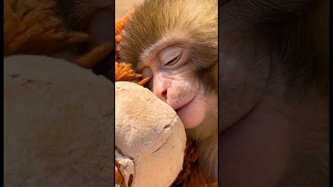 Do Animals Have Souls? #goodtoknow #vet #youtube #tiktok #instagram