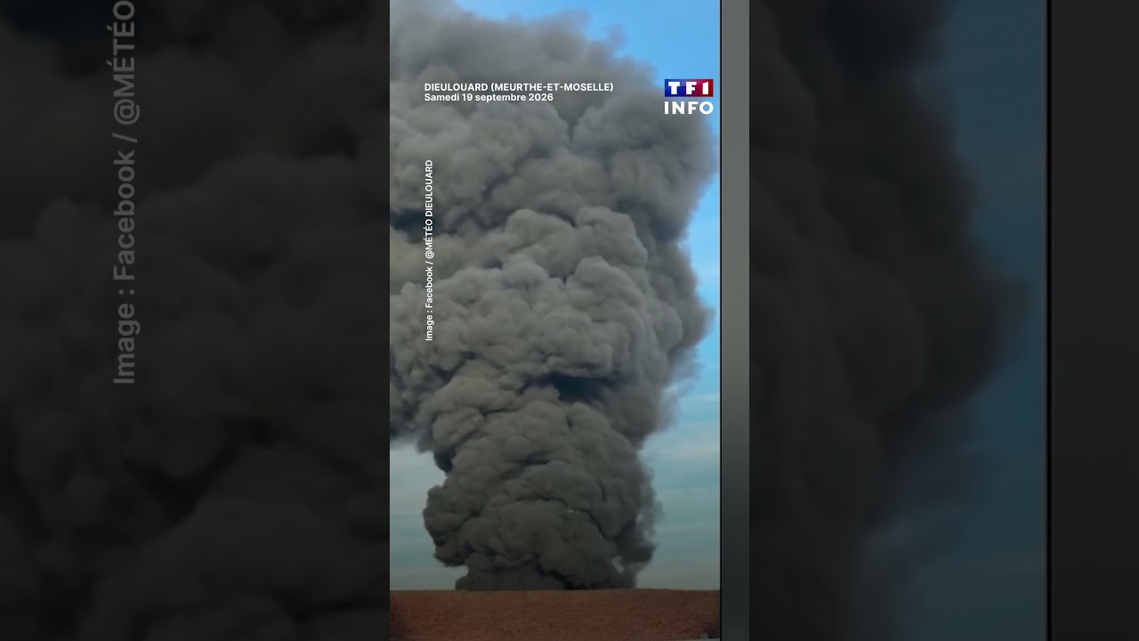 🔴 Un incendie impressionnant s'est déclaré dans l’usine de recyclage Paprec à Dieulouard｜TF1 INFO