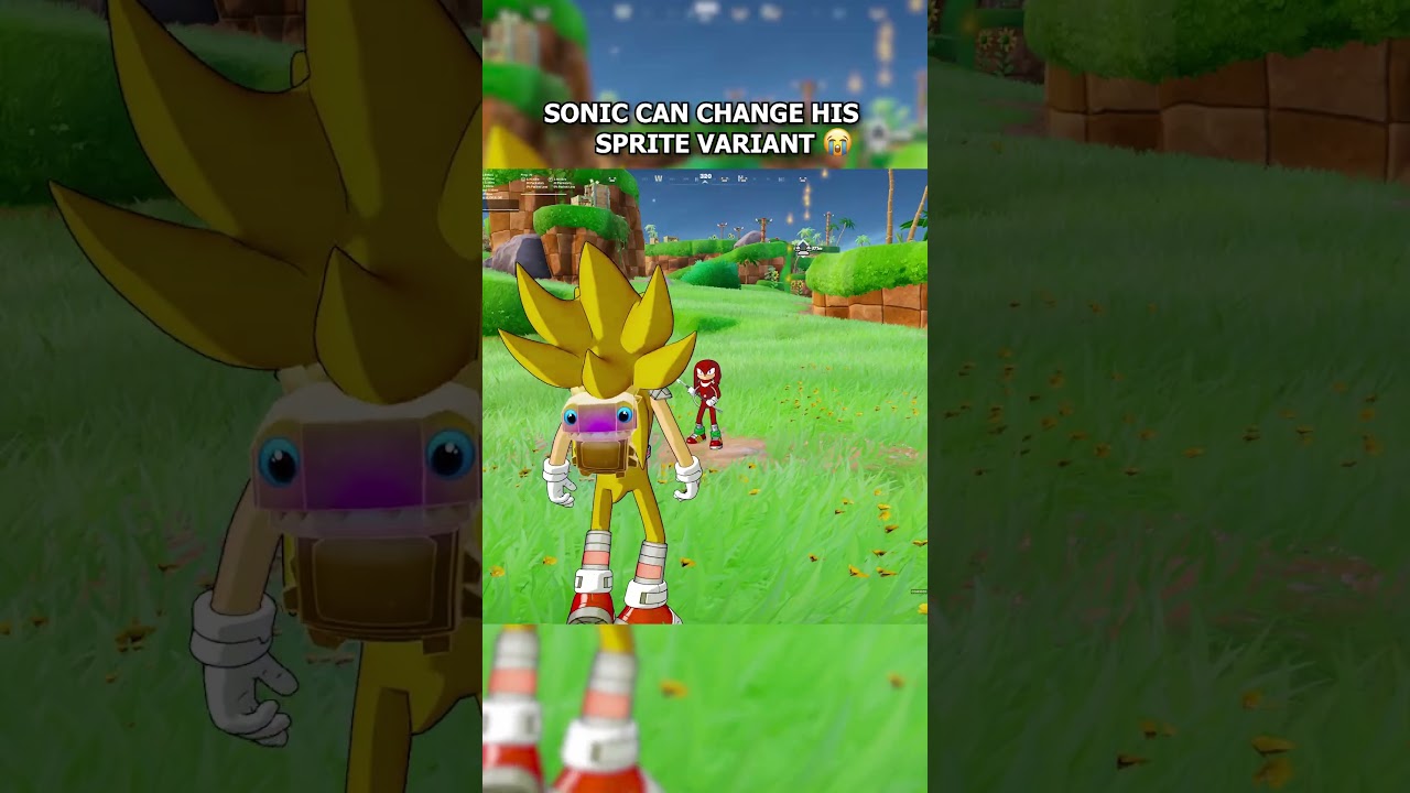 SONIC CAN SWITCH SPRITE VARIANTS