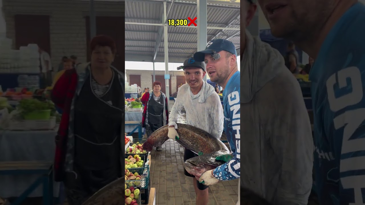 Угадай вес рыбы и забери её🎣 #fishing #рыбалка #сомы