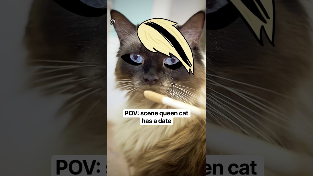 GRWM for a bad romance bbz #cat #animation #comedy #y2k