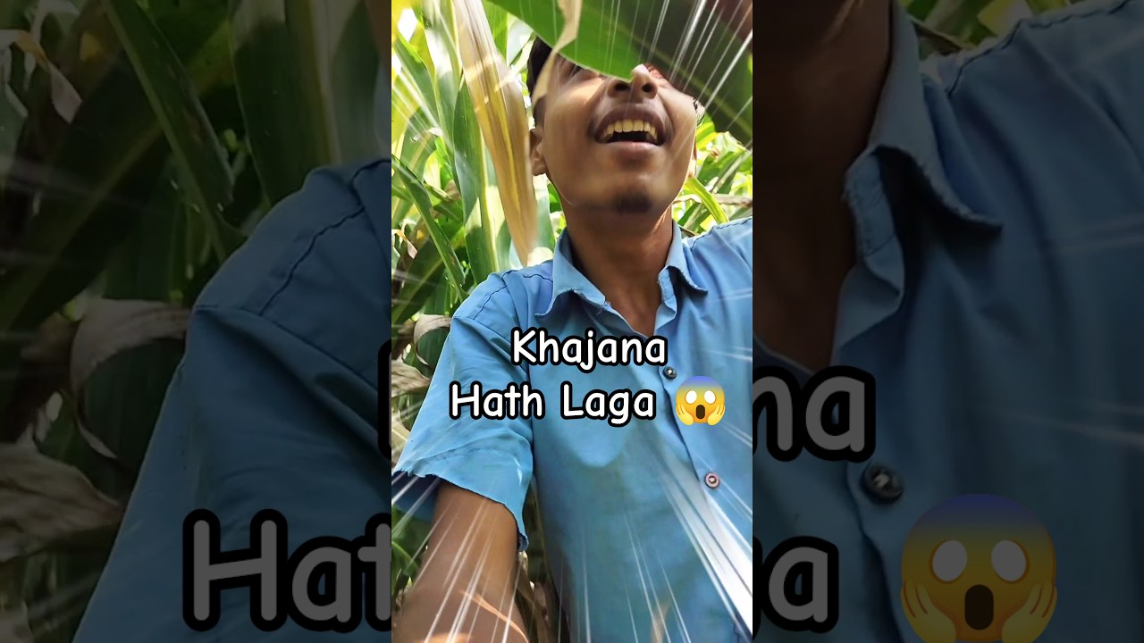 Bilkul bhi Socha Nahi Tha 😱😍 | #minivlog #khajana #villagevlog  #shortvideo