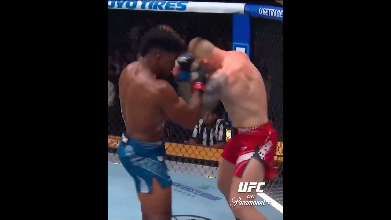 ROCK EM SOCK EM ROBOTS 🤖 #ufc331
