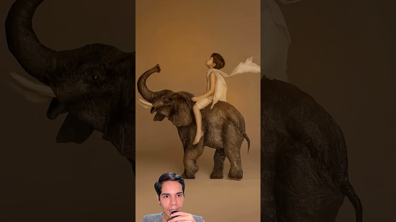 No tenía dinero para una sesión de fotos, así que hizo ESTO 🐘