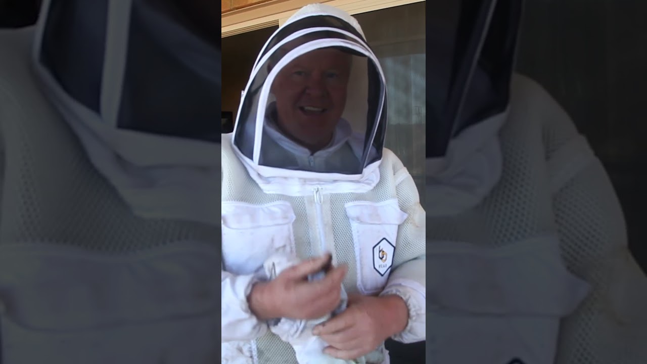 Putting Bees Inside a Fish Tank