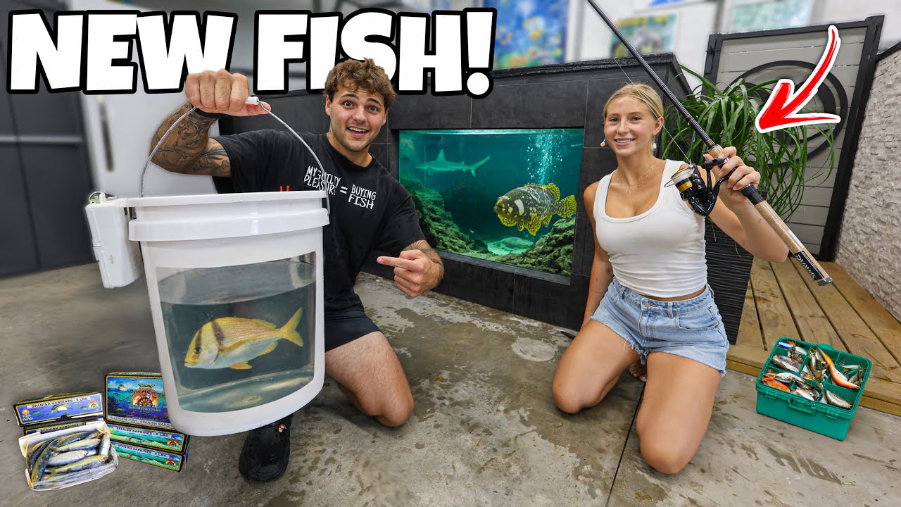 Using BAITS to Catch NEW FISH for My SALTWATER PONDS!!