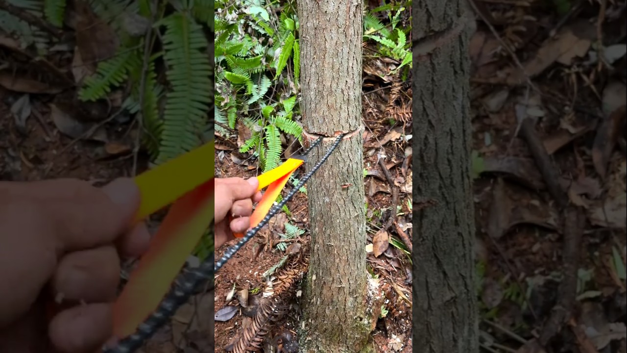 Fast Tree Trunk Cut with Flexible Pocket Hand Chainsaw
