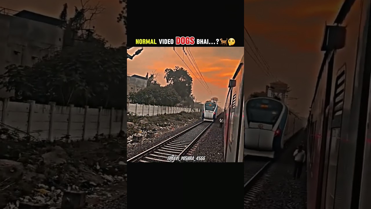 Train Guzar Gayi, Lekin Neeche Kutta Kaise Bach Gaya? 😱🐕 #train #railway #trending #viralshorts