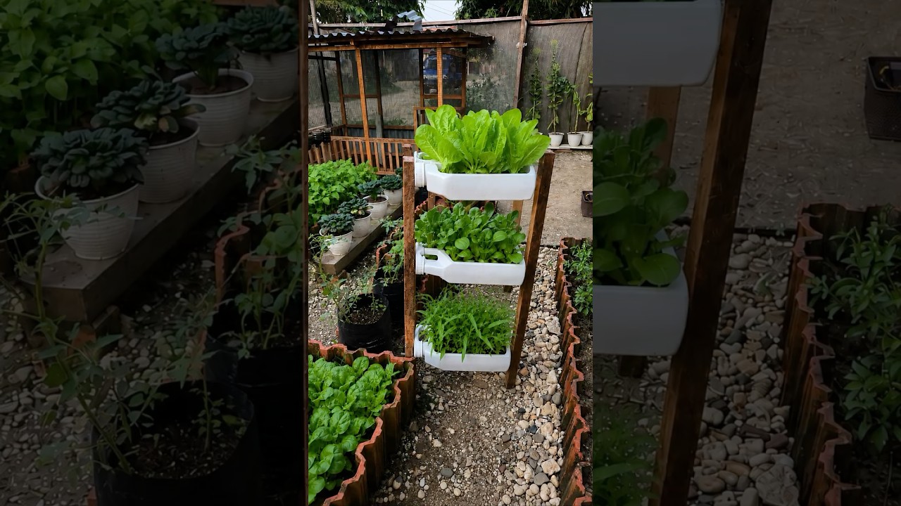 Don’t Throw Away Old Jugs—Make This Amazing Garden Rack! #backyardgardening #gardening