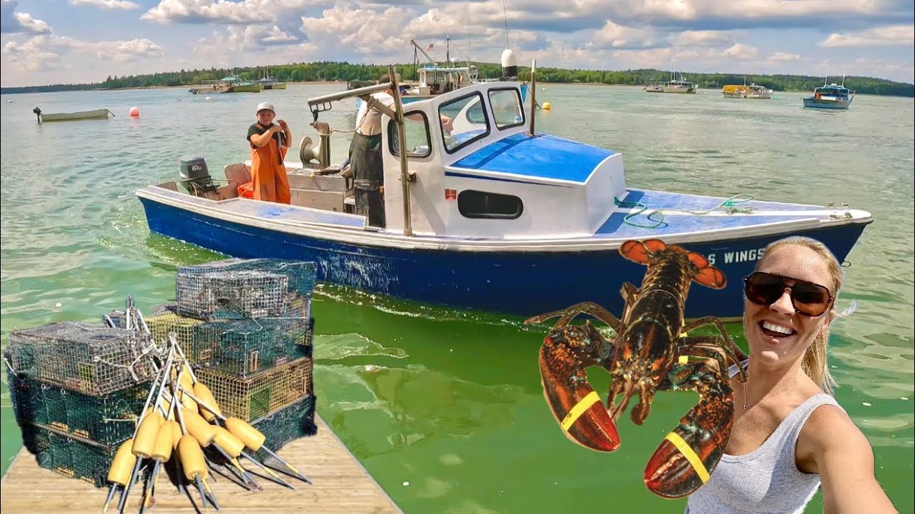 8 Year Old Boy took Crystal on his Mini Commercial Lobster Boat (Catch & Cook)