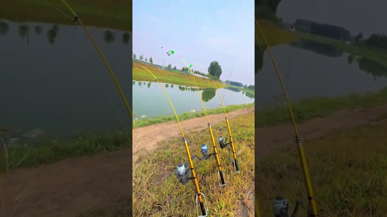 Cần câu máy tự động 3m3 - best automatic fishing rod 5-11kg #fishing #shorts