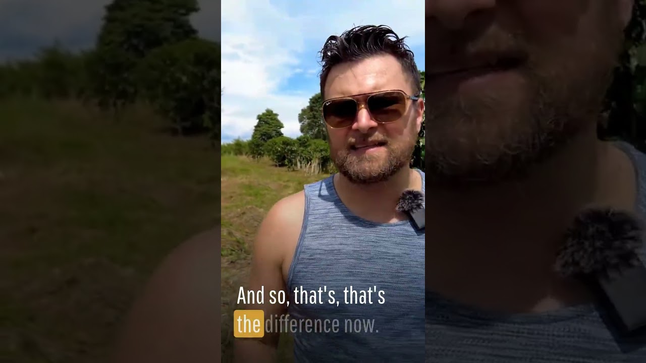 Privacy Bull Market