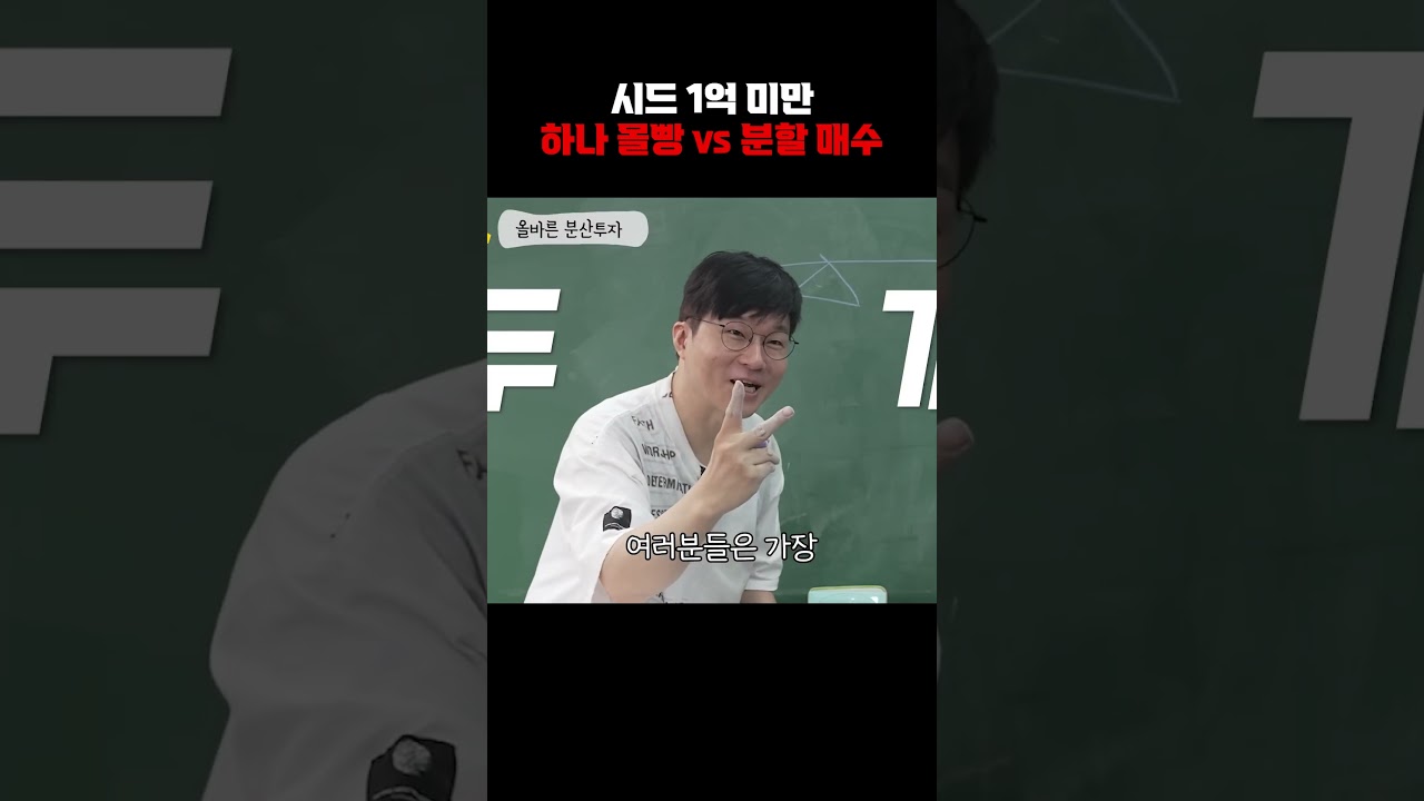 초보 개미 맞춤 포트폴리오 분배