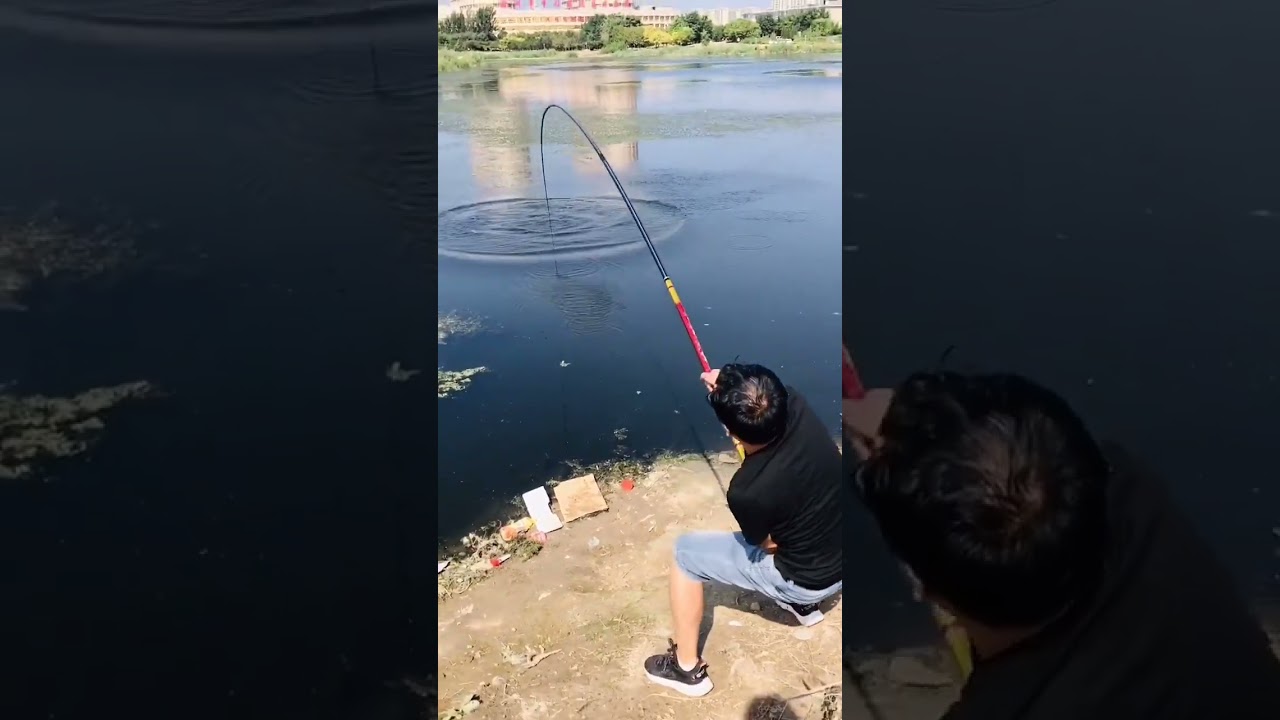 Cần Tay 20h Tầm Long Bắt Được Cá Khủng 10-30kg 😳🎣 #fishing #shorts #bigcatch