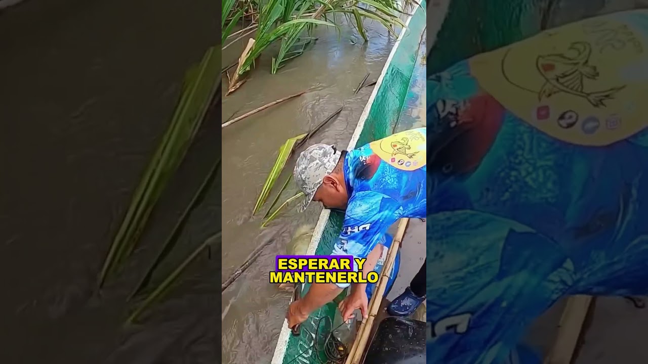 This real-life scene took place on the Amazon River.#fishing #seafishing #fyp #shorts#US