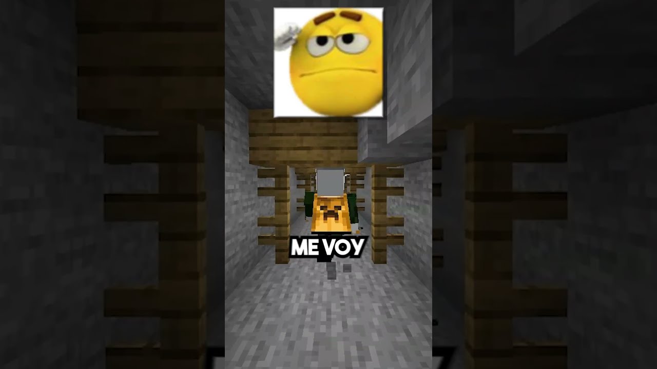 APOSTÉ MI CASA Y LA PERDÍ 😭 #minecraft #laos