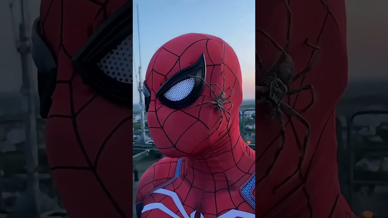 😱 Spider-Man’s Secret Spider Friend! 🕷️❤️ #shortvideo