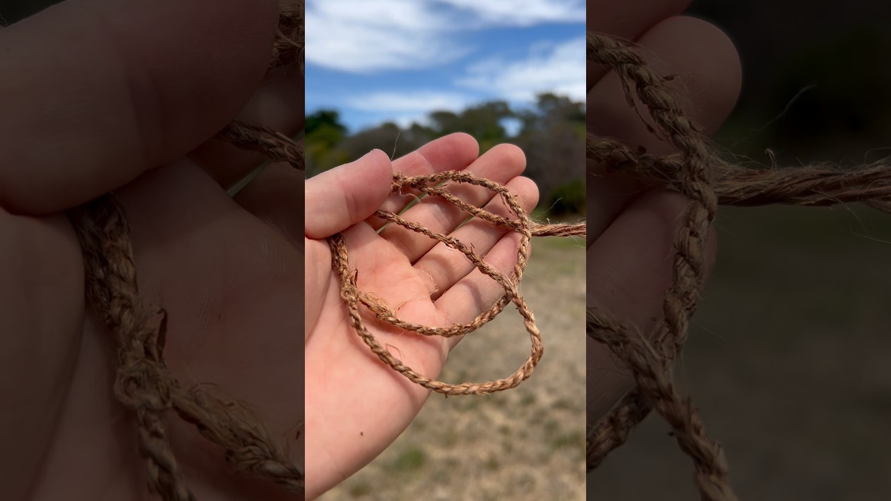 Making String from Plants