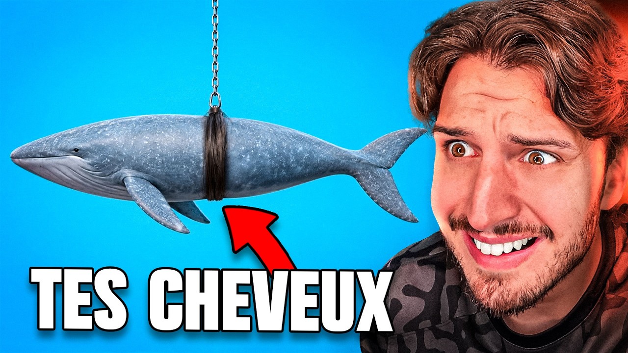 les vidéos de Zack D. Films qui devraient être interdite en France...