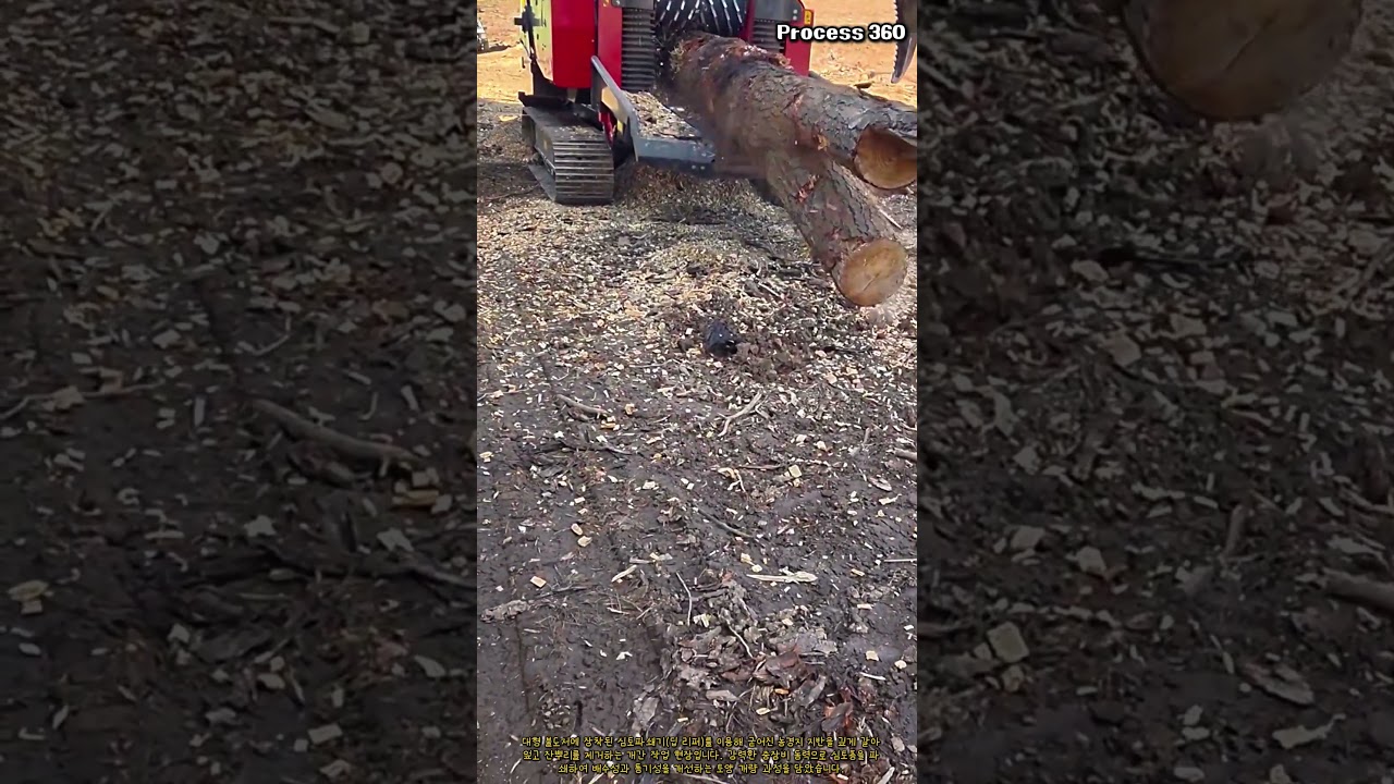 크롤러 우드 치퍼와 중장비 그래플의 원목 파쇄 현장 #worker #process #heavyequipment #woodchips #timber