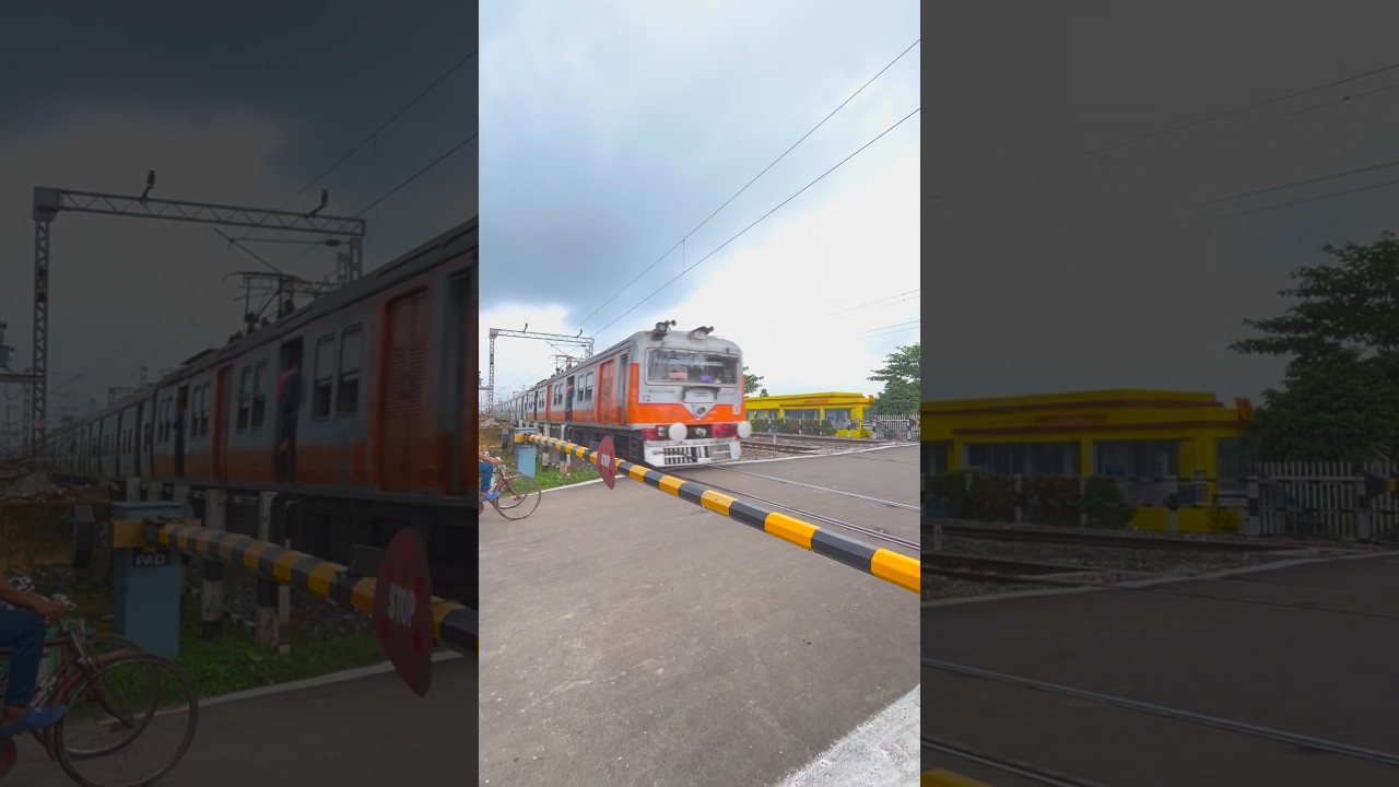 Furious Vajra Emu at Railgate #shorts