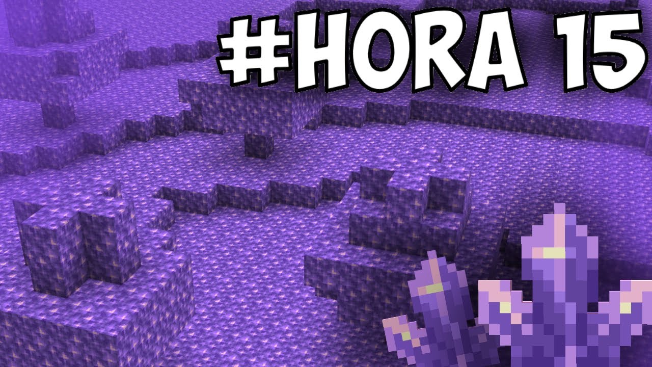 Hice un BIOMA de 1000 AMATISTA en Minecraft Survival...