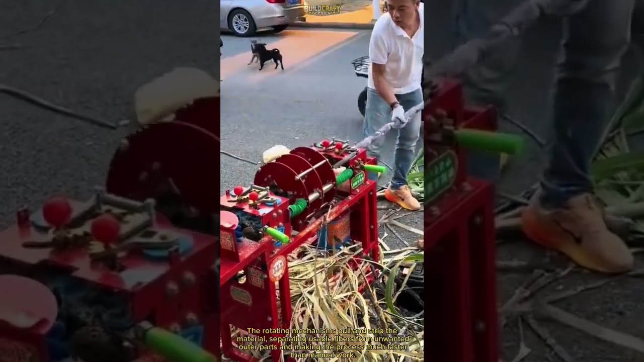 This Machine Strips Sugarcane Leaves Fast! #FarmTech #AgriTech #Machinery