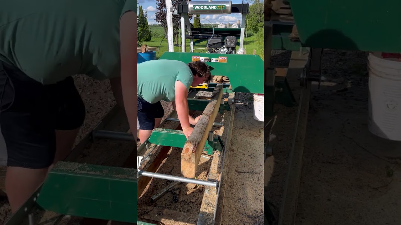 Pine Log on the HM126 #satisfying #sawmill