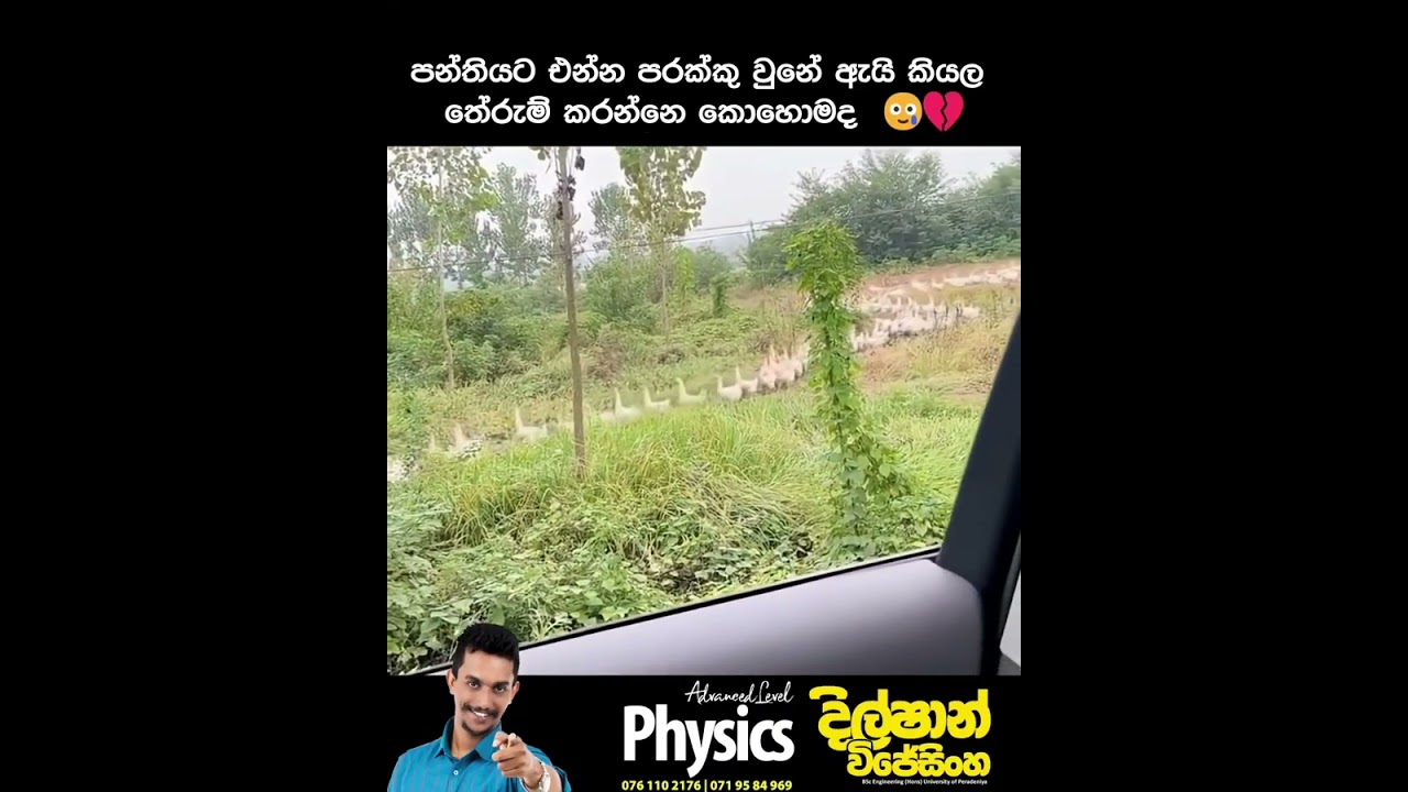 #physics #dilshanwijesinghe#trending#viralshorts#advanced #fypシ゚viral