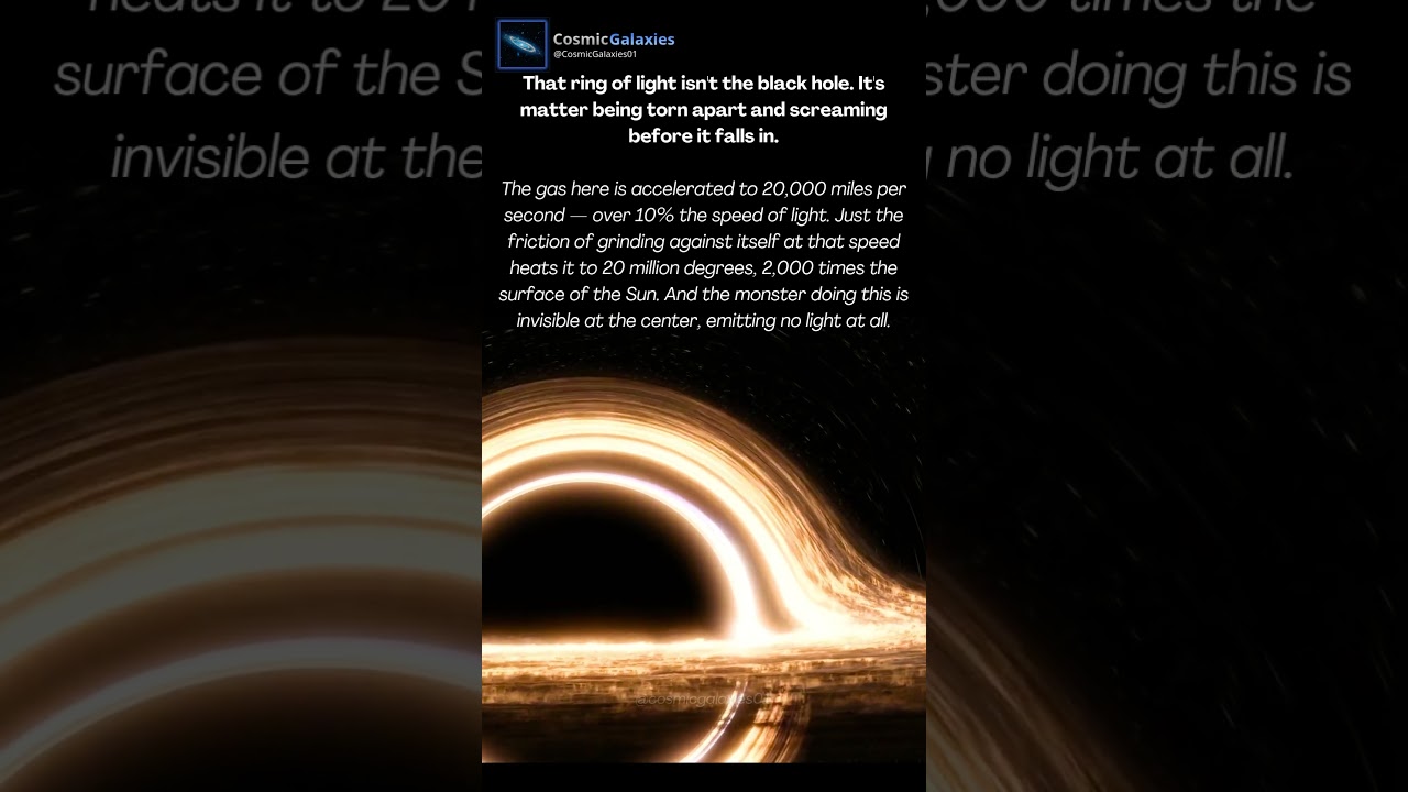 That Ring of Light Isn't the Black Hole — It's Matter Being Torn Apart Before It Falls In