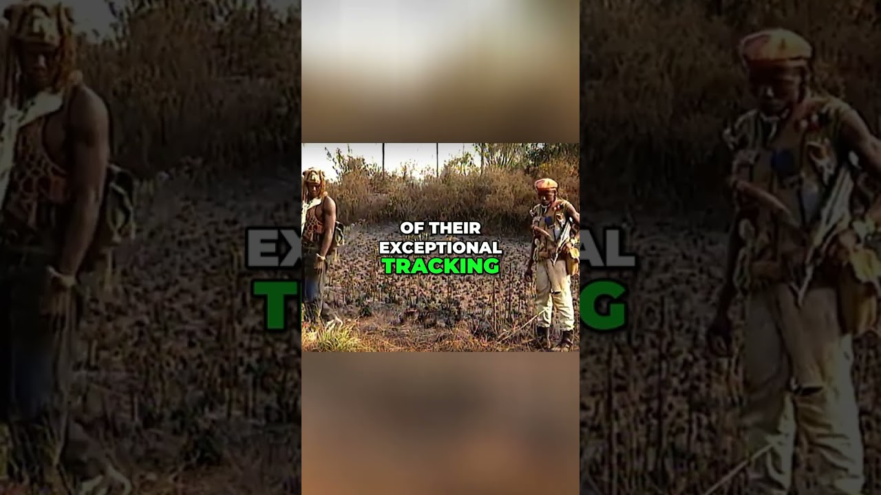 Sierra Leone's Jungle Warriors: EO's Secret Weapon Revealed! #shorts