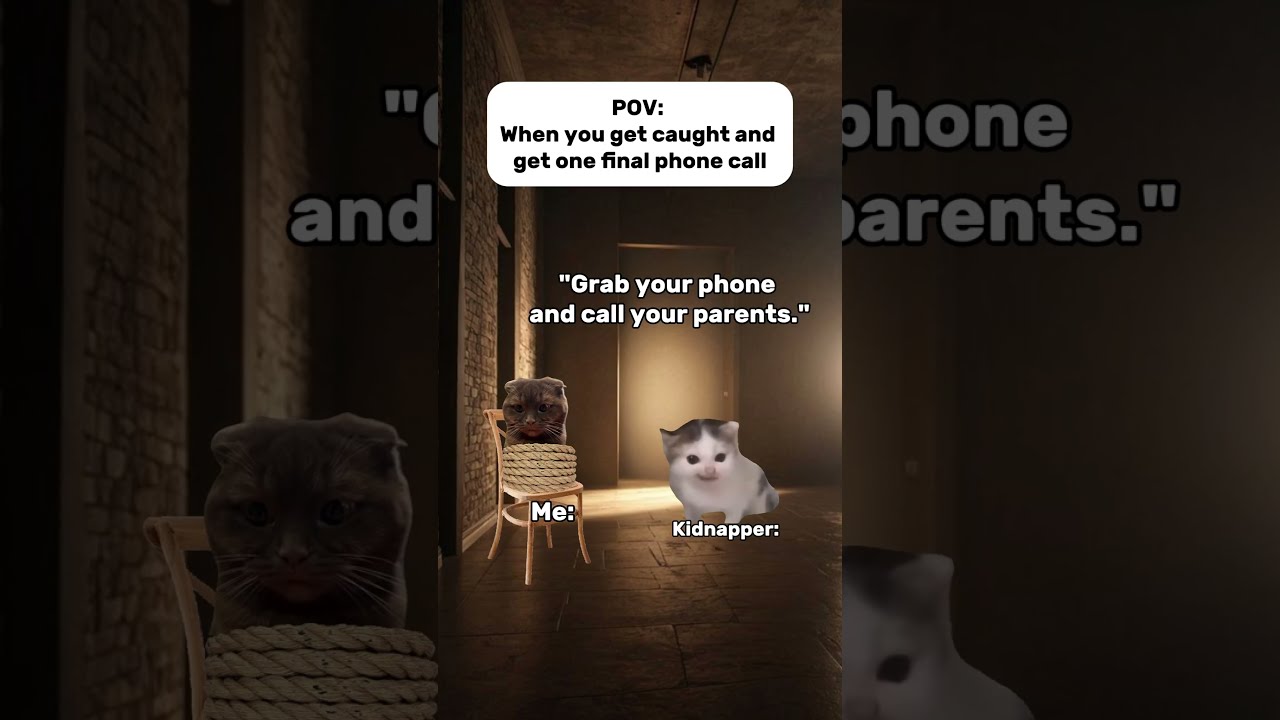 POV: You get one final phone call but your balance is 0 😭📱💀 #shorts  #catmemes  #cat #comdeymemes