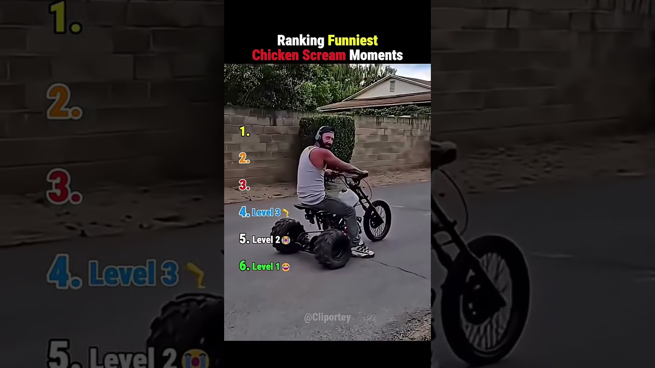 Ranking funny chicken screams#funny