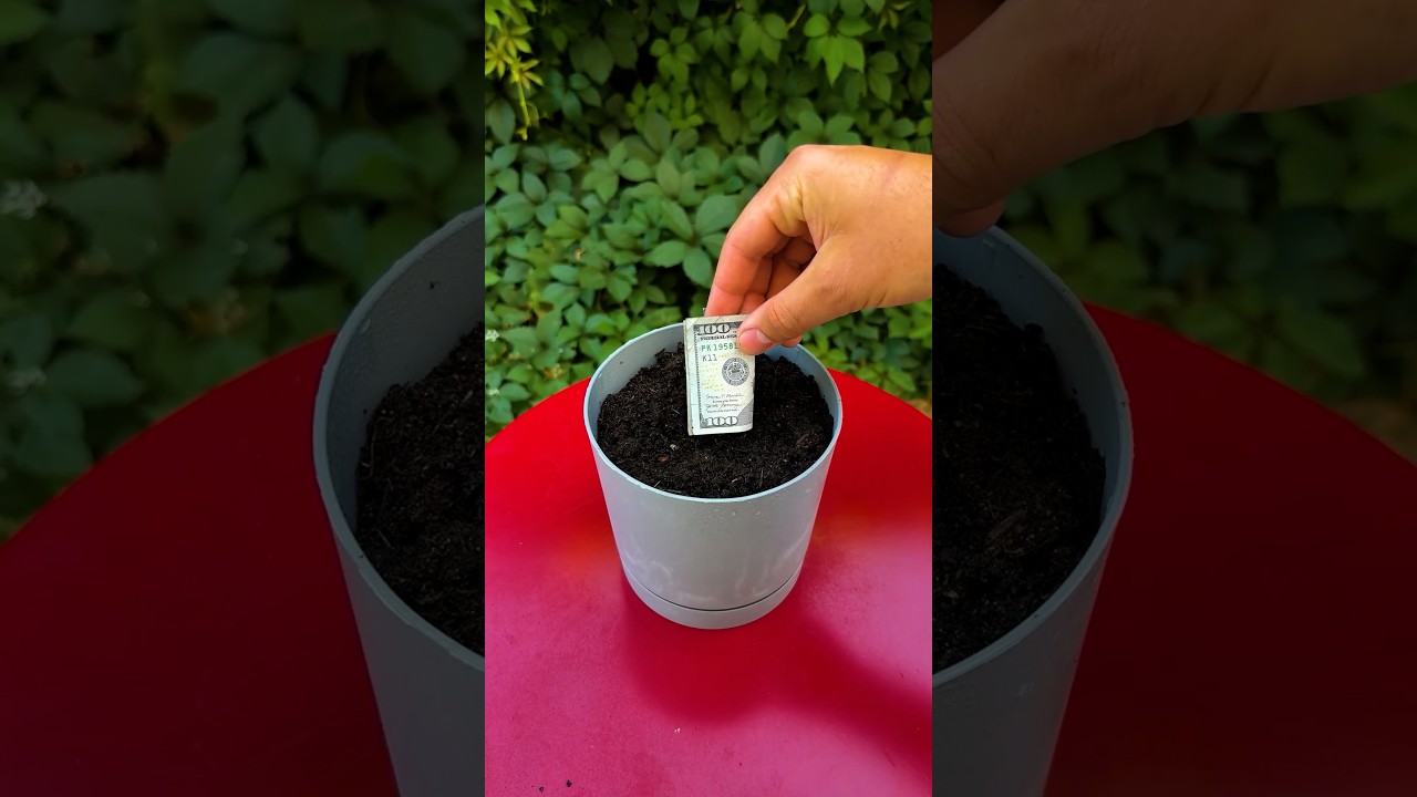 Money and Jewelry Hacks You Can Try 💵💍 #smart #useful #money #jewelry #tricks
