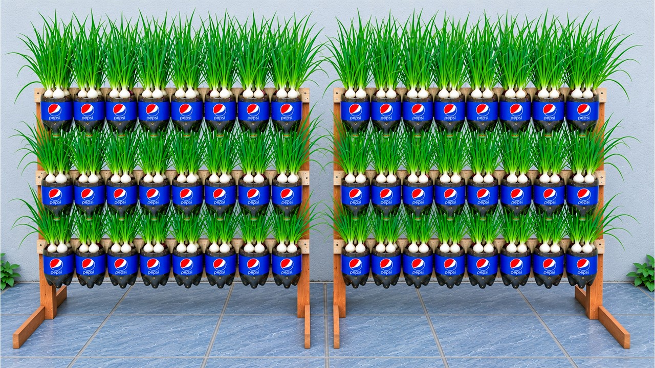 Vertical Garden Ideas Using Plastic Bottles – Grow Fresh Green Onions, Garlic Chives All Year Round