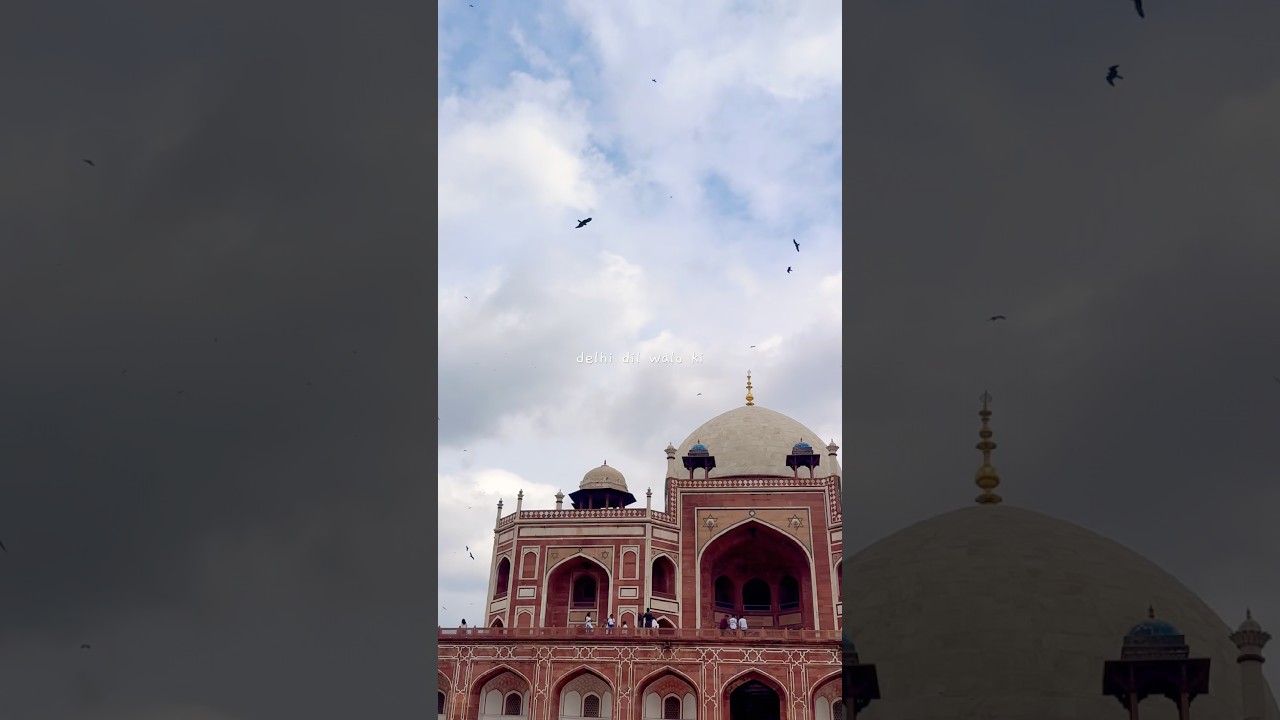 delhi dil walo ki❤️🌸🍂 #dayinmylife # #instalikes #myig #explorefeed 🧿❤️ #minishorts #food #fypシ