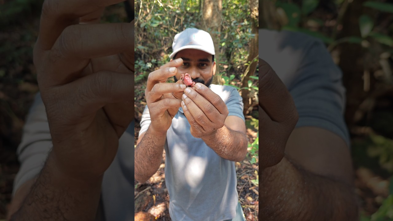 लाल खेकडा , हा तुम्हाला माहित आहे का ? Kokan #fishing #konkanpremi #kokan #fishermen