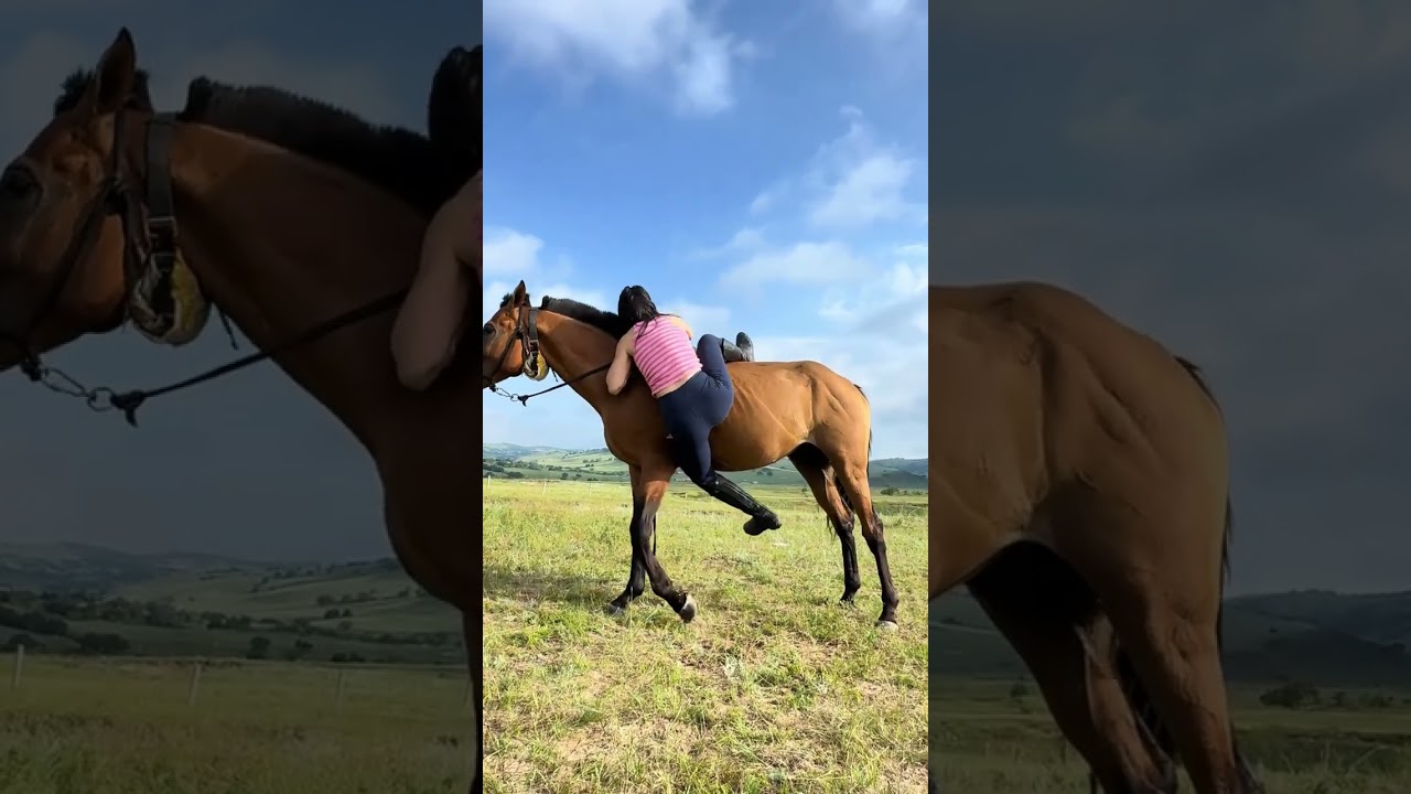 Dog startles horse during mounting attempt, sending rider to the ground in Inner Mongolia, China