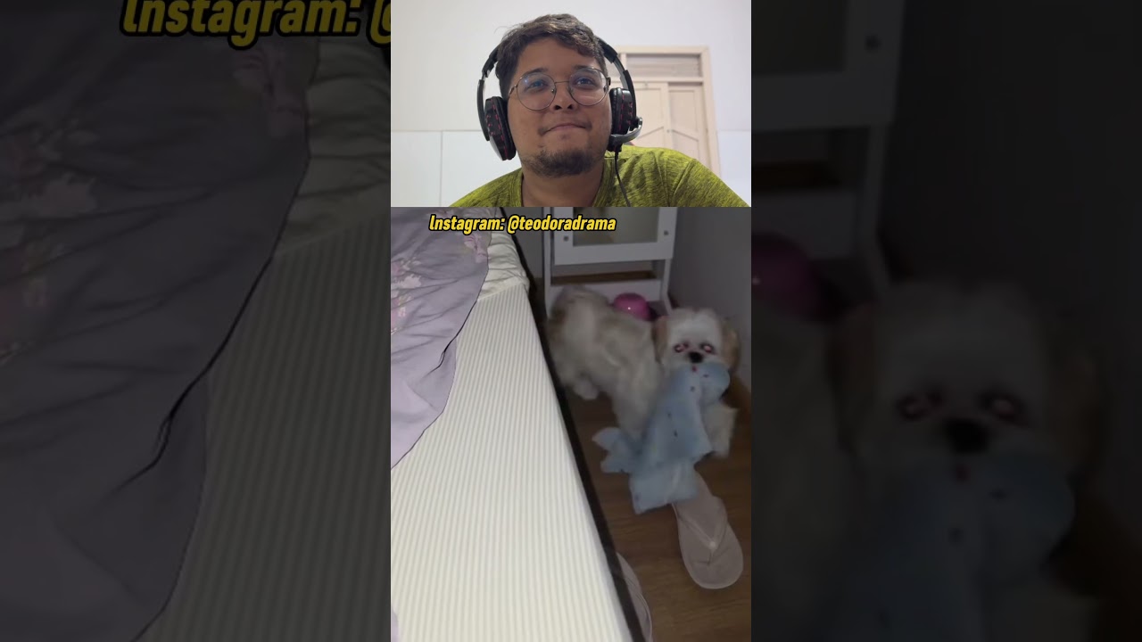 SÓ PODE CURTIR QUEM ACHOU FOFINHO 🥹 #familia #cachorro #pets #youtubeshorts #shorts