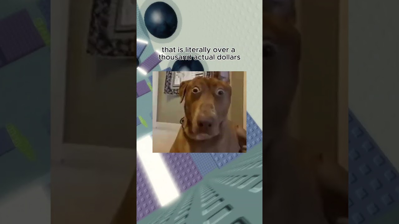 THE ROBLOX TAX IS CRAZY #robloxnews #cat #drama #funny #funnyanimals #roblox #viral #memes #twitter