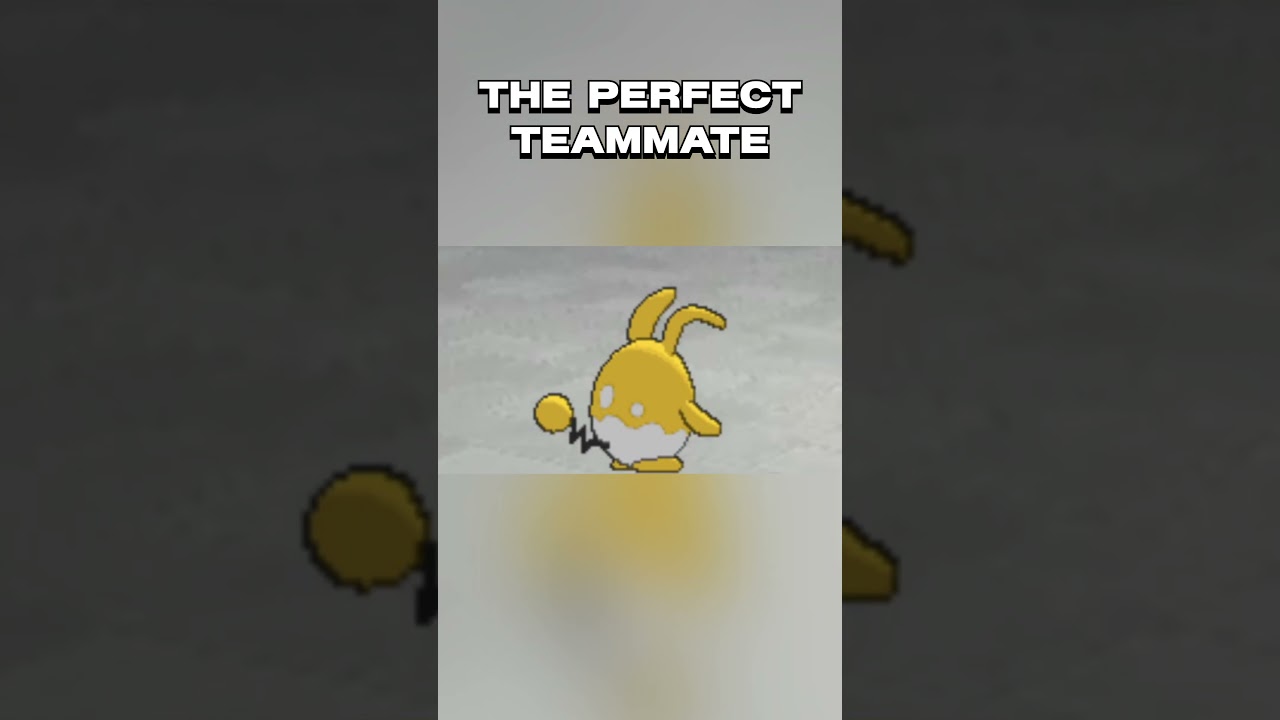 I Found The Perfect Mega Raichu Y Partner