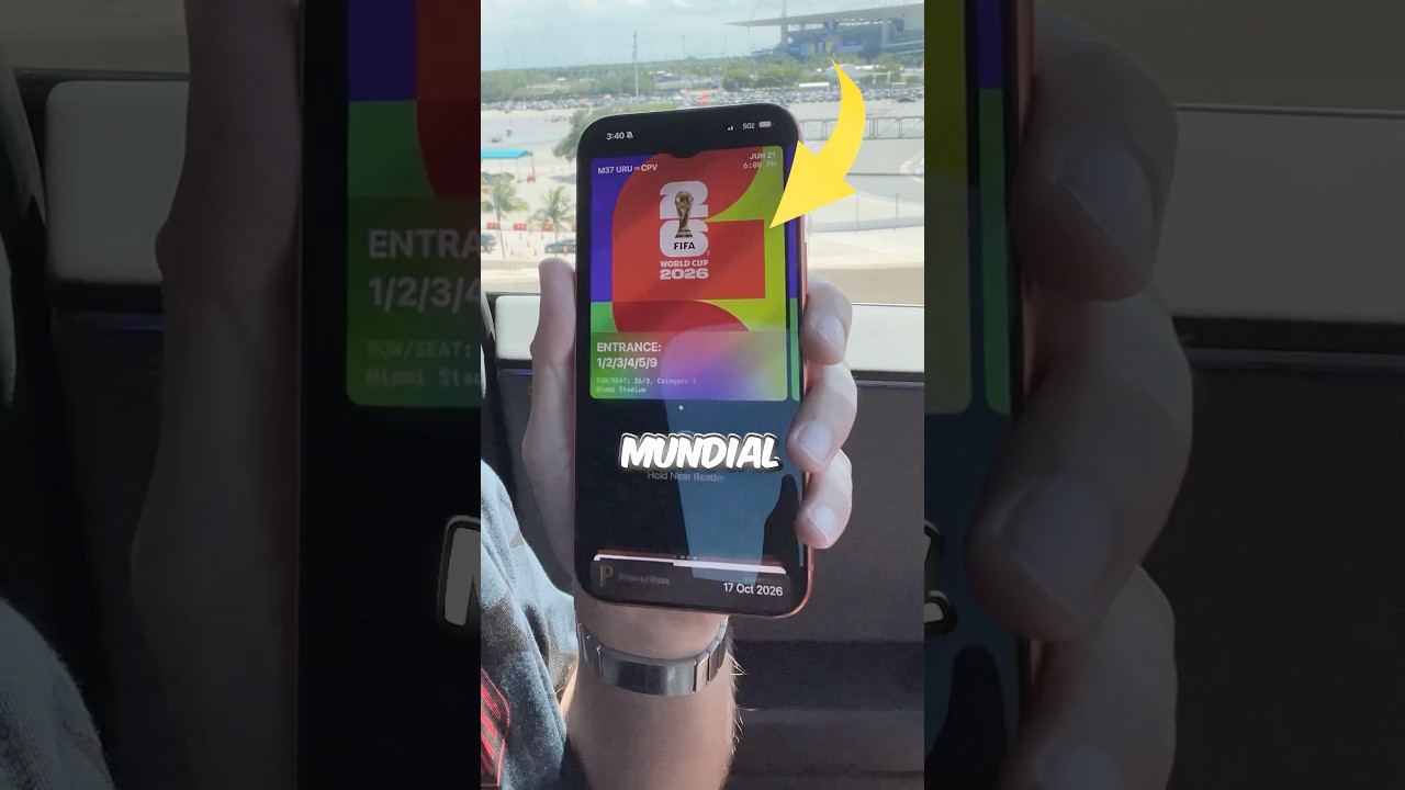 Le pedí a mi Tesla llevarme a un partido del Mundial.