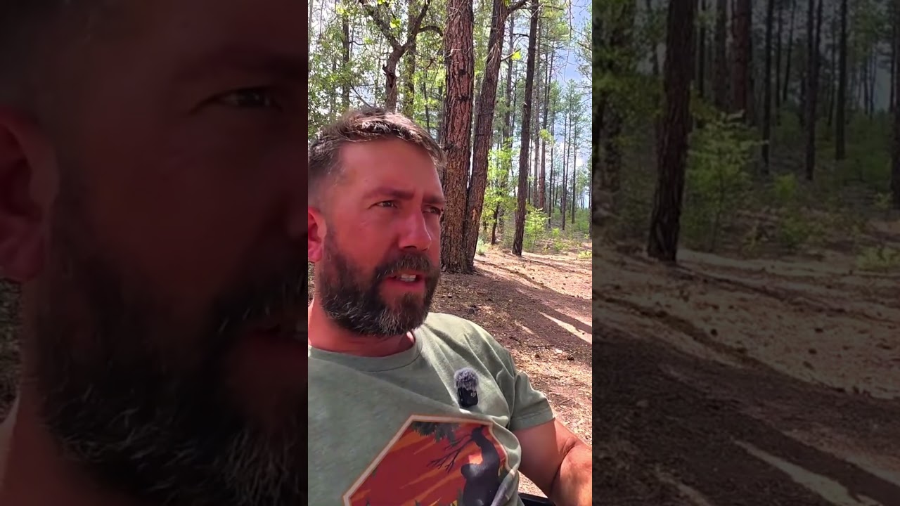 Campsite fights #vanlife #travelvlog #offgridliving #camping #arizona #campinglife #overlanding