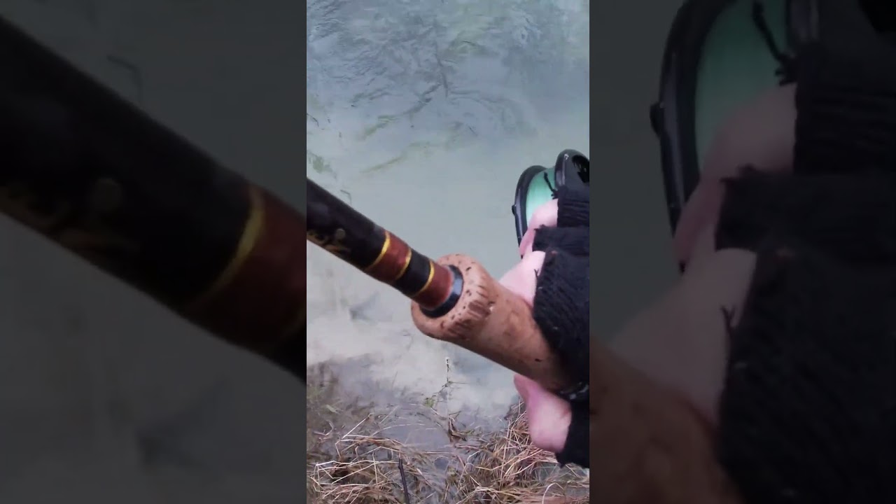 Cold Chrome - Winter #steelheadfishing #steelhead #fishing