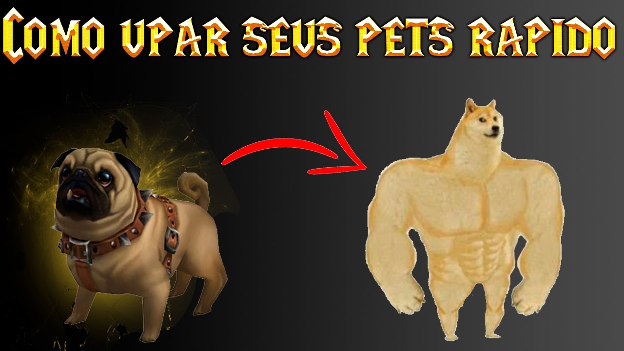 COMO UPAR SEUS PETS RAPIDO NO WOW!