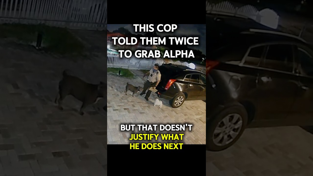 He told them twice to grab Alpha