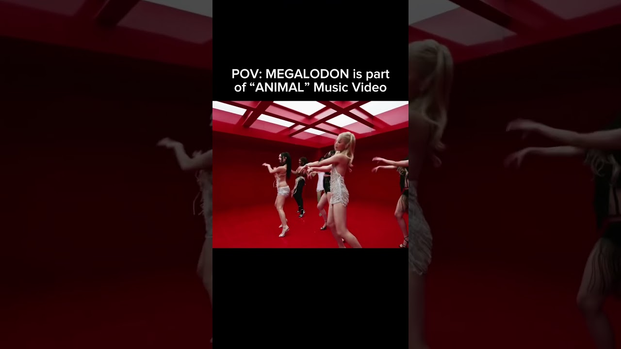 POV: MEGALODON is part of KATSEYE “ANIMAL” Music Video😂 #KATSEYE #KATSEYE_ANIMAL #fyp #shorts