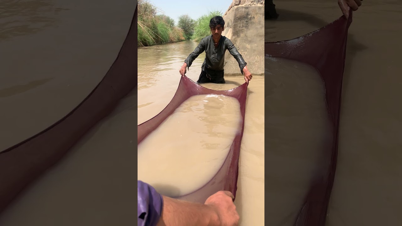 #fishing 🐟