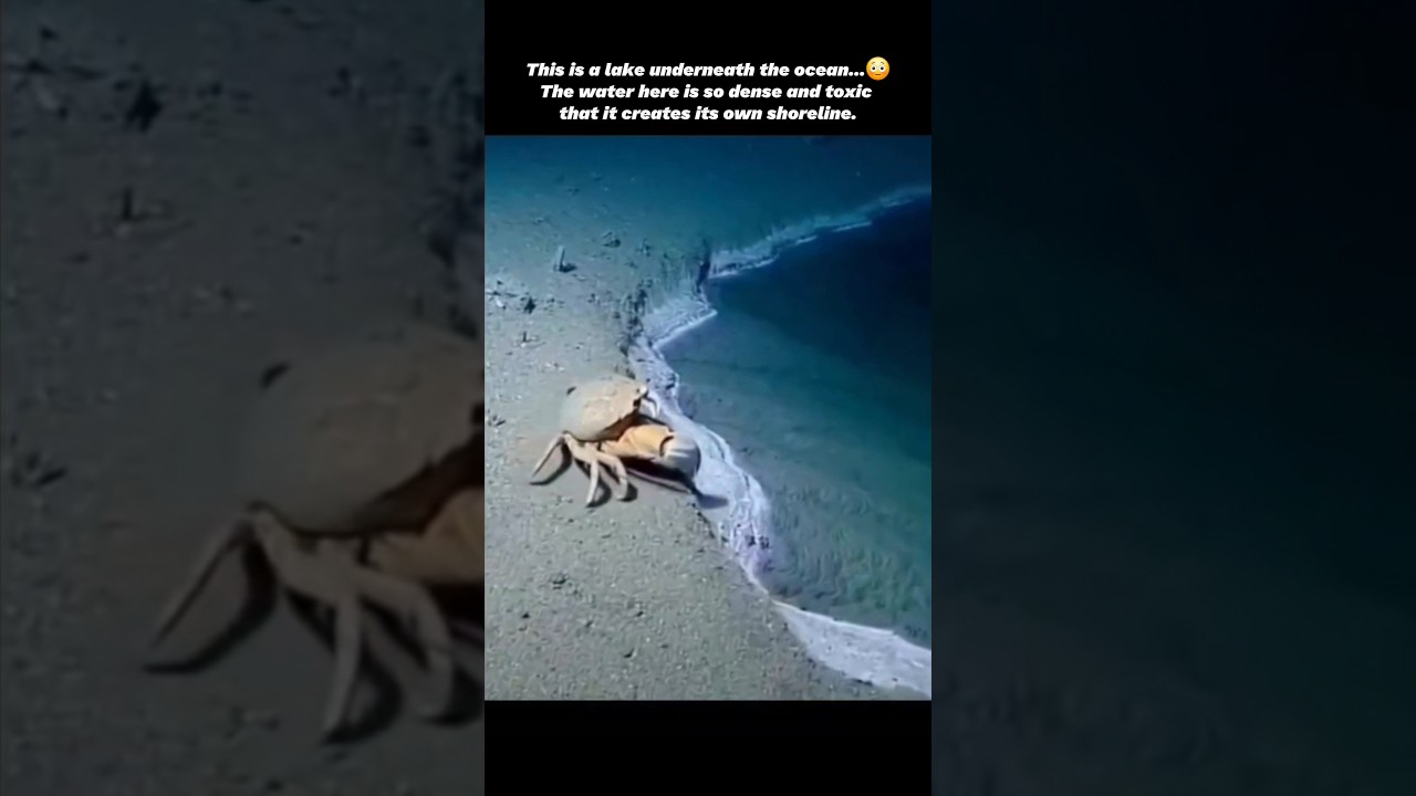 A Lake Underneath the Ocean 😳